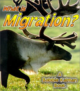 What is Migration 