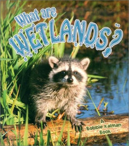 What Are Wetlands 