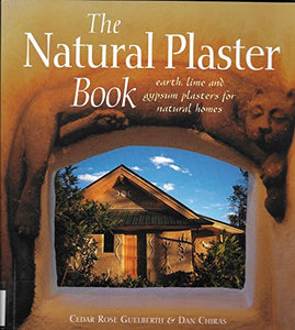 The Natural Plaster Book 