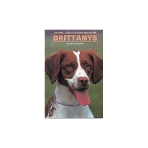 Brittany Spaniels 