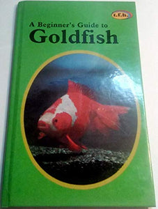 A Beginner's Guide to Goldfish 