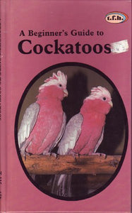 A Beginner's Guide to Cockatoos 