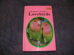 A Beginner's Guide to Lovebirds 