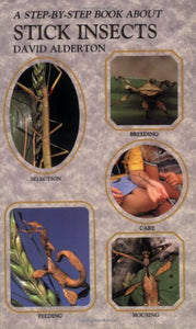 Step by Step Book About Stick Insects 