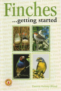 Finches as a Hobby 