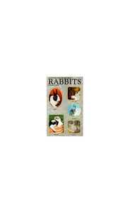 Step-by-step Book About Rabbits 