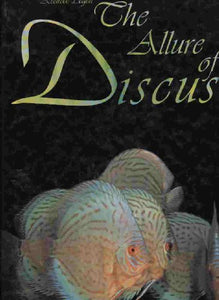 The Allure of Discus 