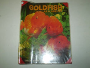 Goldfish as a New Pet 