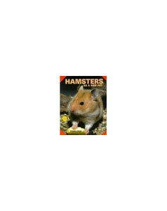 Hamsters as a New Pet 