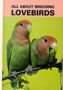 All About Breeding Lovebirds 