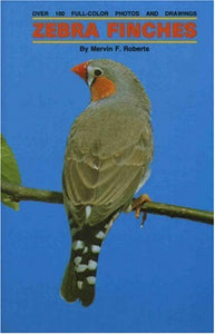 Zebra Finches 