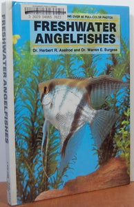 Freshwater Angelfish 