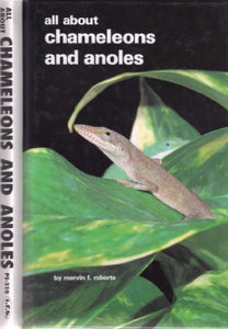 All About Chameleons and Anoles 