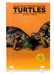 Turtles 