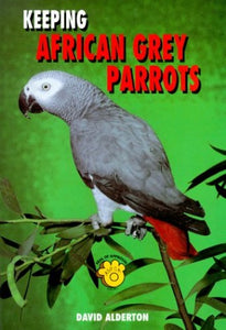 Keeping African Grey Parrots 