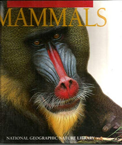 Mammals 