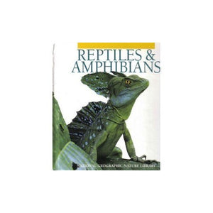 Amphibians, Reptiles 