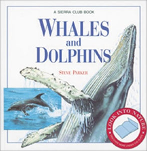 Whales and Dolphins 