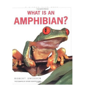 What is an Amphibian? 