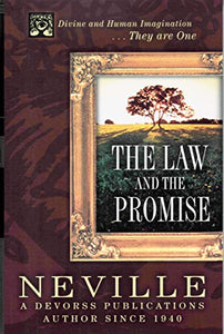 THE LAW & THE PROMISE 