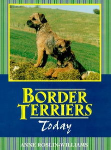 The Border Terrier Today 