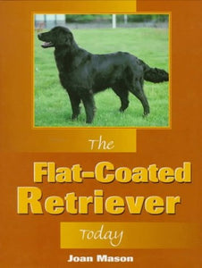 The Flat Coated Retriever 