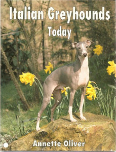 Italian Greyhounds Today (Cloth) 