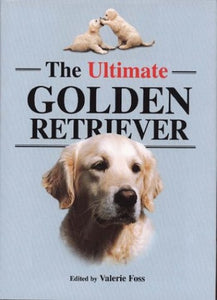 The Ultimate Golden Retriever 