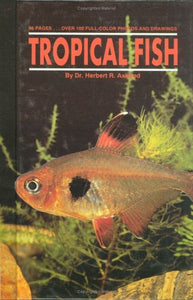 Tropical Fish 