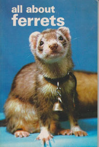 All About Ferrets 