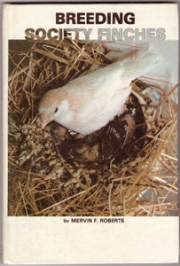 Breeding Society Finches 