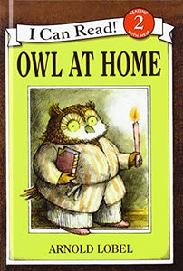 Owl at Home 