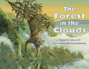 The Forest in the Clouds 