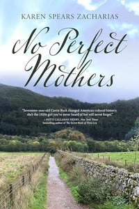 No Perfect Mothers 