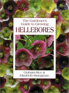 The Gardener's Guide to Growing Hellebores 