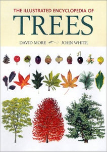 The Illustrated Encyclopedia of Trees 