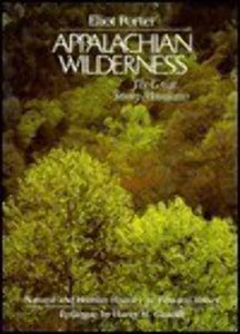 Appalachian Wilderness 