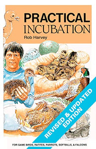 Practical Incubation 