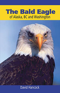 Bald Eagle of Alaska, BC and Washington 