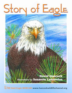 Story of Eagle Activity & Coloring Book 