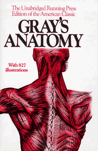 Gray's Anatomy 