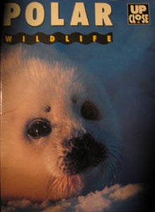 Polar Wildlife 