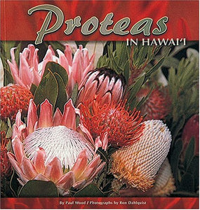 Proteas in Hawaii 