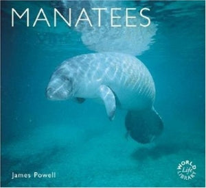 Manatees 