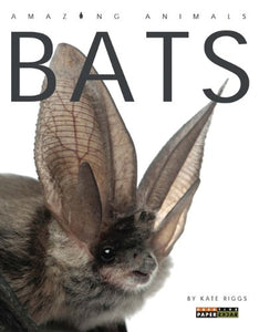 Bats 