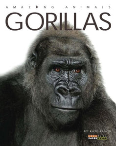 Gorillas 