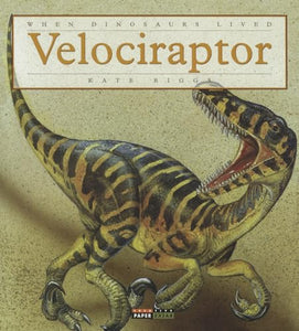 Velociraptor 