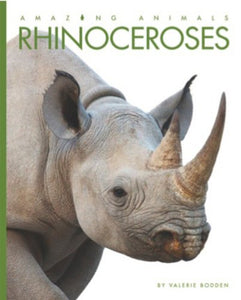 Rhinoceroses 