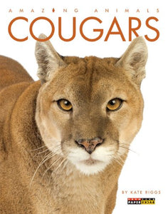 Cougars 