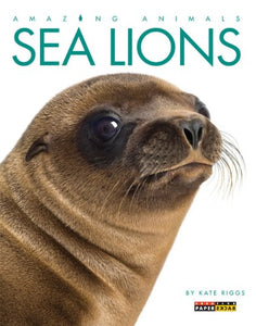 Amazing Animals: Sea Lions 